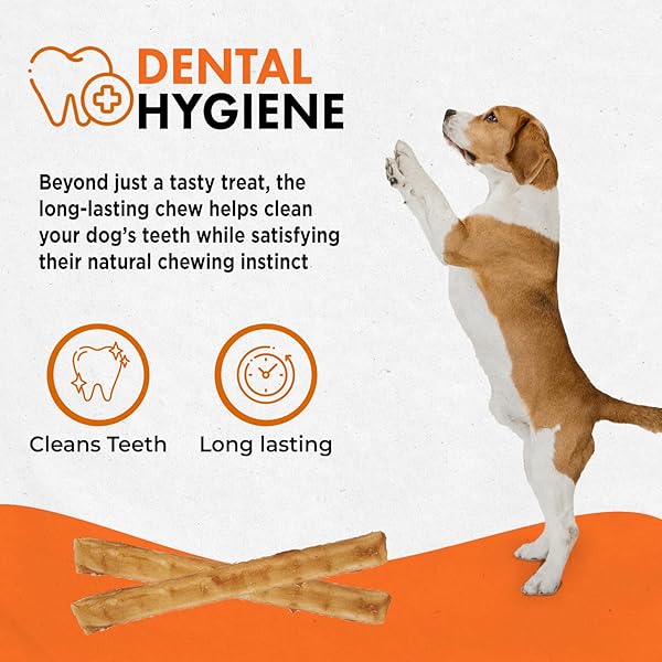 CANINE NATURALS BEEF CHEW – RAWHIDE FREE DOG TREATS – MADE WITH REAL BEEF – POULTRY FREE RECIPE – ALL-NATURAL AND EASILY DIGESTIBLE – 40 PACK OF 5 INCH STICK CHEWS