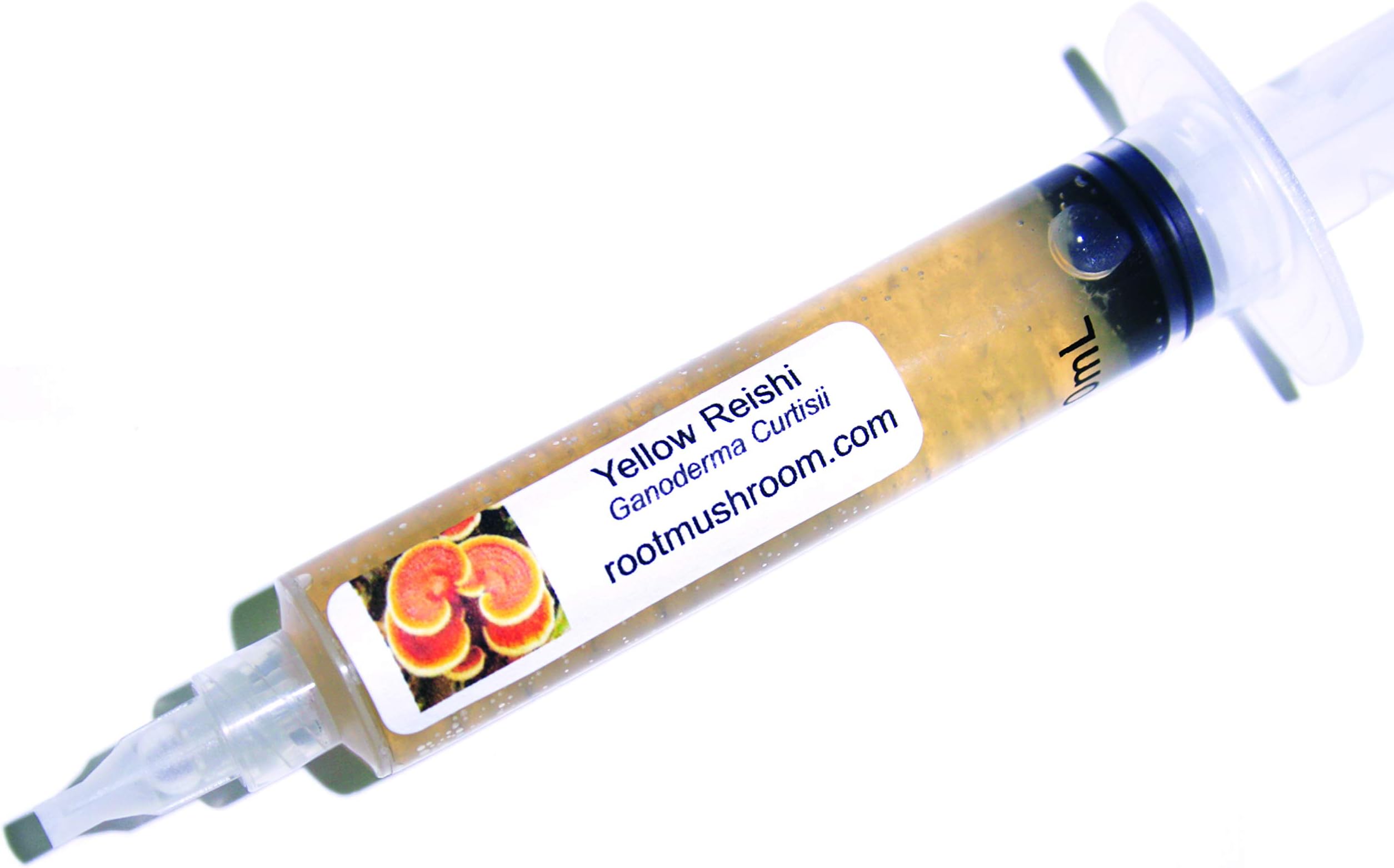 Root Mushroom Farm- 30 Mushroom Liquid Cultures /Yellow Reishi (Ganoderma Curtisii)