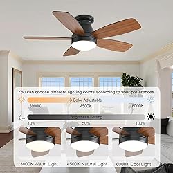 JSAITEE Ceiling Fans with Lights, 42 Inch Low