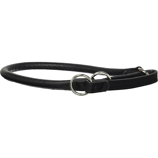 2 inch leather martingale collar