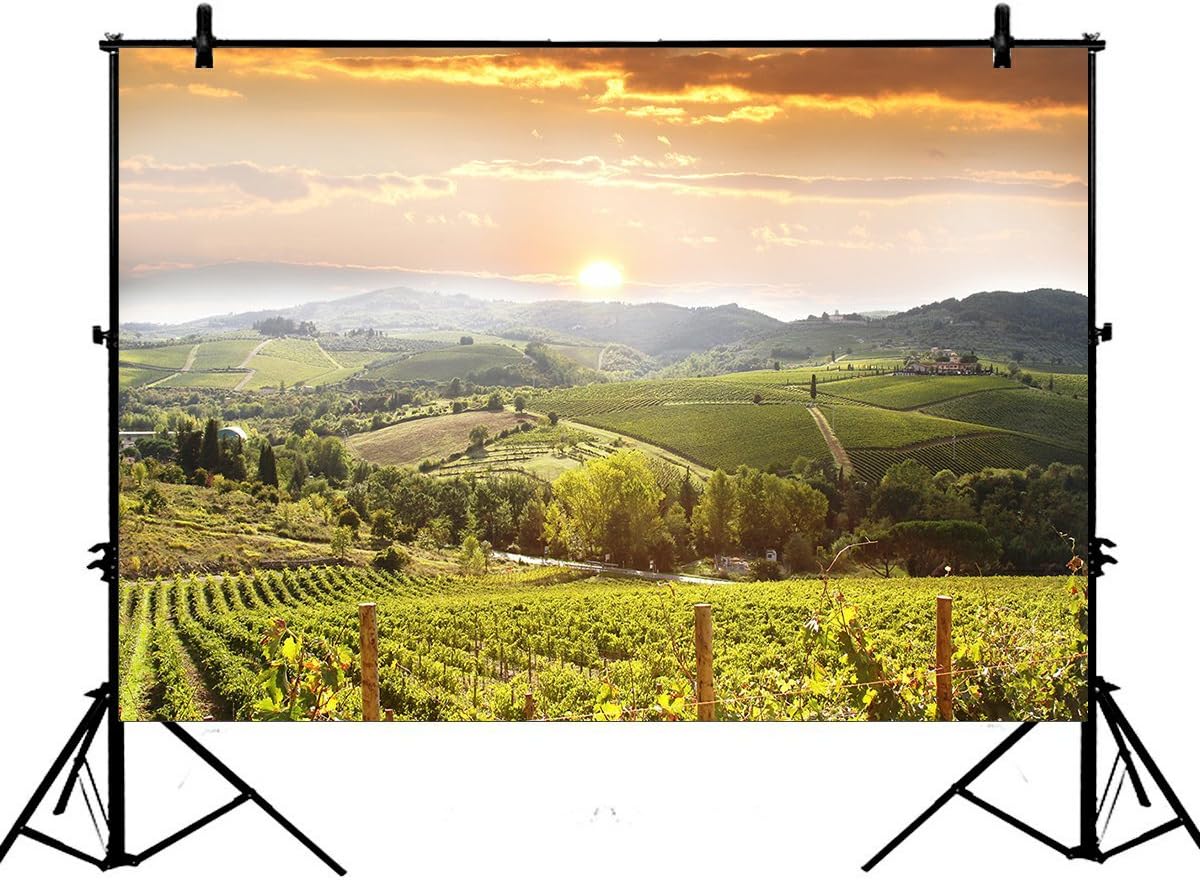 7x5ft Sunset View Backdrops, Chianti Vineyard Landscape in Tuscany, Italy Polyester Photography Backdrop Studio Prop Photo Background