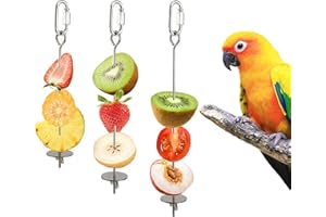 SMRTCOL 3 Pcs Bird Cage Food Holder Stainless Steel Parrot Fruit & Vegetable Skewer Hanging Foraging Toy for Parakeets, Budgies, Macaws