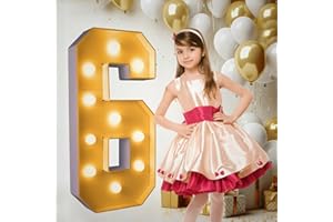 PRELIFE MEMORY 3FT/36 Inch Light Up Marquee Number 0-9, White Frame KT Board Plug-in KT Board With Bracket Warm LED Party Decorative Light Decoration For Birthday Party Anniversary (NUMBER 6)