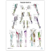Anatomy Lab Trigger Points II Laminated Poster | Advanced Muscle Pain Referral Chart with Detailed Myofascial Trigger Point Mapping for Clinical or
