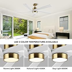 WINGBO 54 Inch DC Ceiling Fan with Lights and