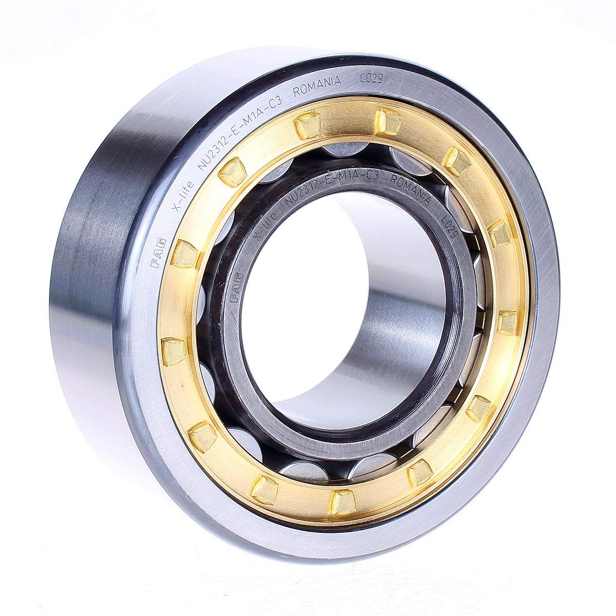 Toilet Fag Toilet Fag