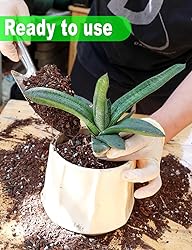 TOYPOPOR Succulent Soil, Cactus Potting Mix 3.75