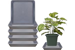 TNTIWQ 5 Pack 10 Inch Square Plant Saucers for Less 8.8Inch Pot Indoors Outdoors Plant Trays for Pots Planter Saucer Plastic Plant Drip Tray Flower Planter Water Tray for Potted Plants(Gray, 10"(5pcs))