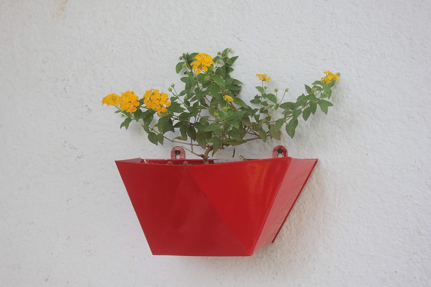 Green Gardenia Gi Metal V Shape Wall Planter Red Amazon In Green Gardenia Gi Metal V Shape Wall Planter Red Amazon In