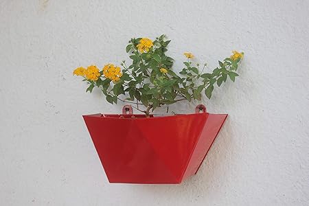 Green Gardenia GI Metal V Shape Wall Planter (Red)