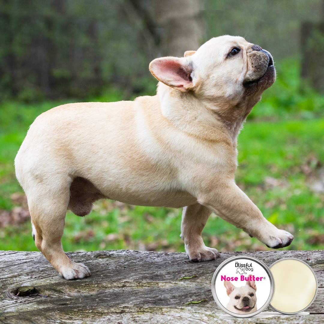snout cream for french bulldog