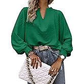 RICHSTORY Womens Tops Dressy Casual Long Sleeve Shirts Loose V Neck Business Work Tunic Blouses
