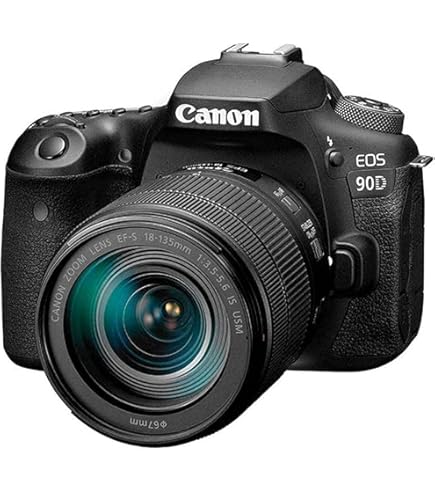 Amazon.com : Canon EOS 6D Mark II with EF 24-105mm is STM Lens 
