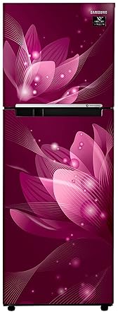 Samsung 253 L 2 Star Inverter Frost-Free Double Door Refrigerator (RT28T3032R8/HL, Saffron Red)