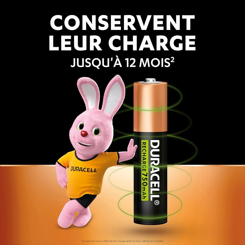 Rechargeables Piles AAA (Lot de 4) 1.2V, 750 mAh, NiMH