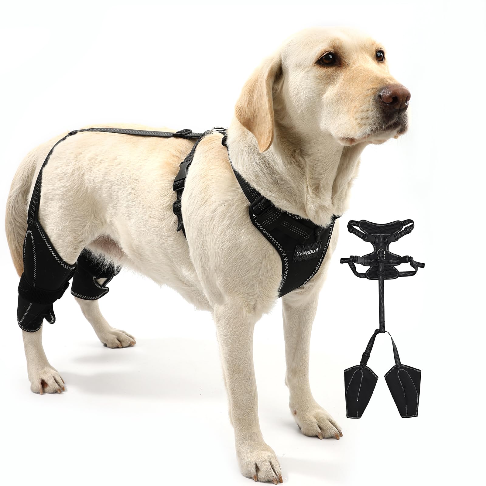 Photo 1 of YENBOLOI Dog Knee Brace for Torn Acl Hind Leg for Support with Cruciate Ligament Injury, luxating Patella,Arthritis,Dog Acl Knee Brace with Metal Splint Hinged Support for CCL Luxating Patella