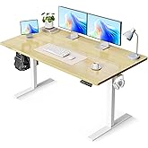 OffiGo Electric Standing Desk, 48 Inch Height Adjustable Sit Stand Table, Ergonomic Computer Desk with 3 Preset Memory Height