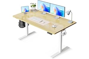 OffiGo Electric Standing Desk, 48 Inch Height Adjustable Sit Stand Table, Ergonomic Computer Desk with 3 Preset Memory Height