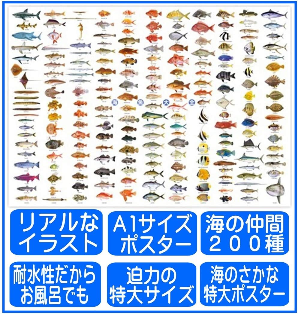 Amazon 海の魚 ポスター 特大サイズ 海魚大全 お風呂ポスター 図鑑 ａ1 サイズ 841 584mm Ki 090 D 生物 動物 人体 おもちゃ