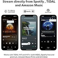 WiiM Mini AirPlay 2 Wireless Audio