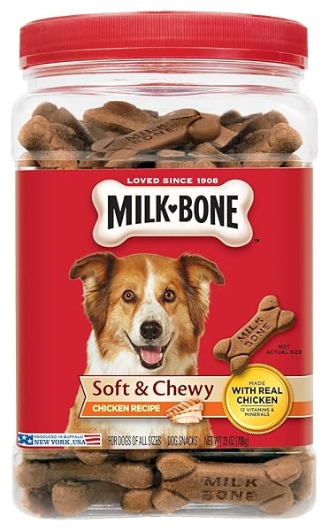 CHICKEN RECIPE CHEWY DOG TREAT, 25-OZ.