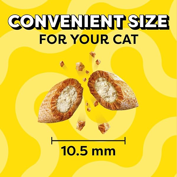 TEMPTATIONS CAT TREATS CLASSIC CRUNCHY AND SOFT CAT TREATS VARIETY PACK, 6.3 OZ. POUCHES (PACK OF 4)