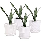 Plant Pots - 5.5 Inch Cylinder Ceramic Planters with Connected Saucer, Pots for Succuelnt and Little Snake Plants, Set of 4,