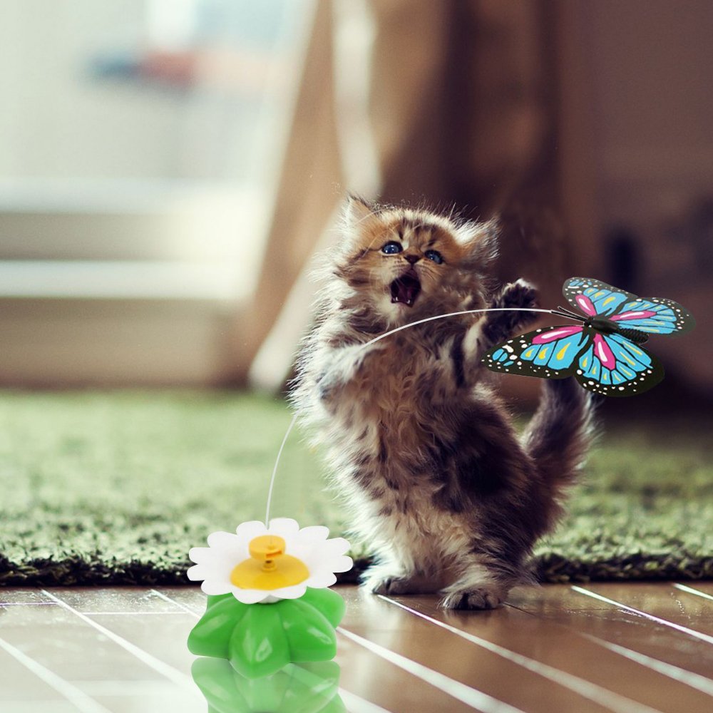 Cat Toy Interactive Electric Swivel Funn Buy Online In Cambodia At Desertcart