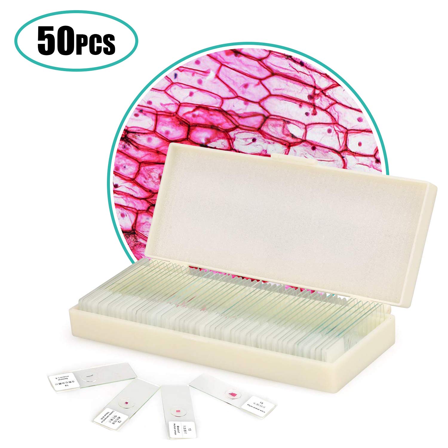USCAMEL 50Pcs Assorted Specimens Collection of Prepared Microscope