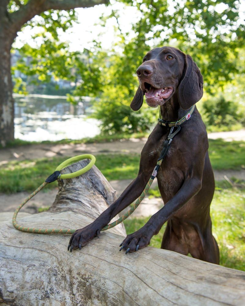 Long Paws Comfort Lead Padded Rope, 110 cm / 44-Inch, Green, 110 cm/44-Inch - Image 3