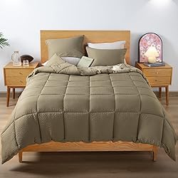 KASENTEX Winter Warmth Quilted Comforter Set Twin