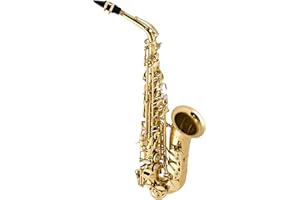 HENRI SELMER Selmer La Voic ll Alto Saxophone Outfit