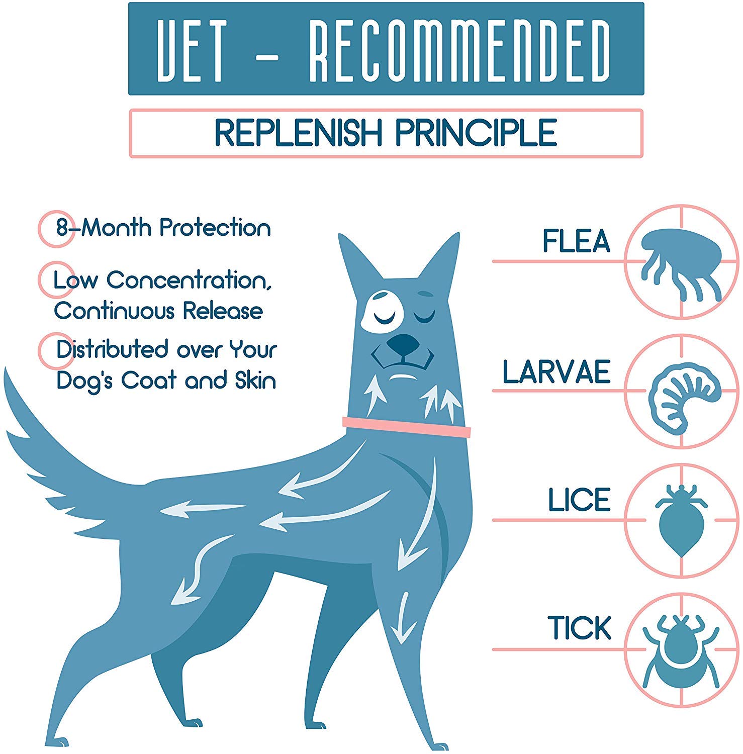 Dog Flea and Tick Control Collar Treatment and Prevention for Dogs
