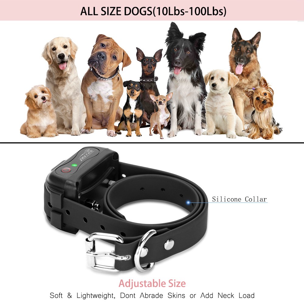peston dog training collar