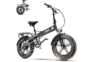 AULOOR Folding Electric Bike for Adults, 750W Motor(1000W Peak),30MPH, 60Mile,48V 12.8AH/15AH/20AH Battery,20" Fat Tire Foldable Electric Bicycle,Commuter Beach Snow E-Bikes,7-Speed…