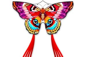 DoinFly Butterflys for Kids, Beautiful Kite Easy to Fly for Beginners with 328 ft Line & Line Winder (Flame Butterfly Kite（Red）, 1)