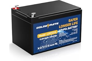 GOLDENMATE 12V 16Ah LiFePO4 Battery, 12V Rechargeable Lithium Batteries with Built-in 16A BMS, 5000+ Deep Cycle, Lithium Iron Phosphate for Solar, Fish Finder, Power Wheels, Safe Camera, Ride-on Toys