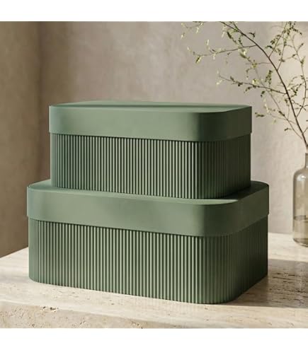 Amazon.com: Bigso Box of Sweden Silvia Organizational Storage Box
