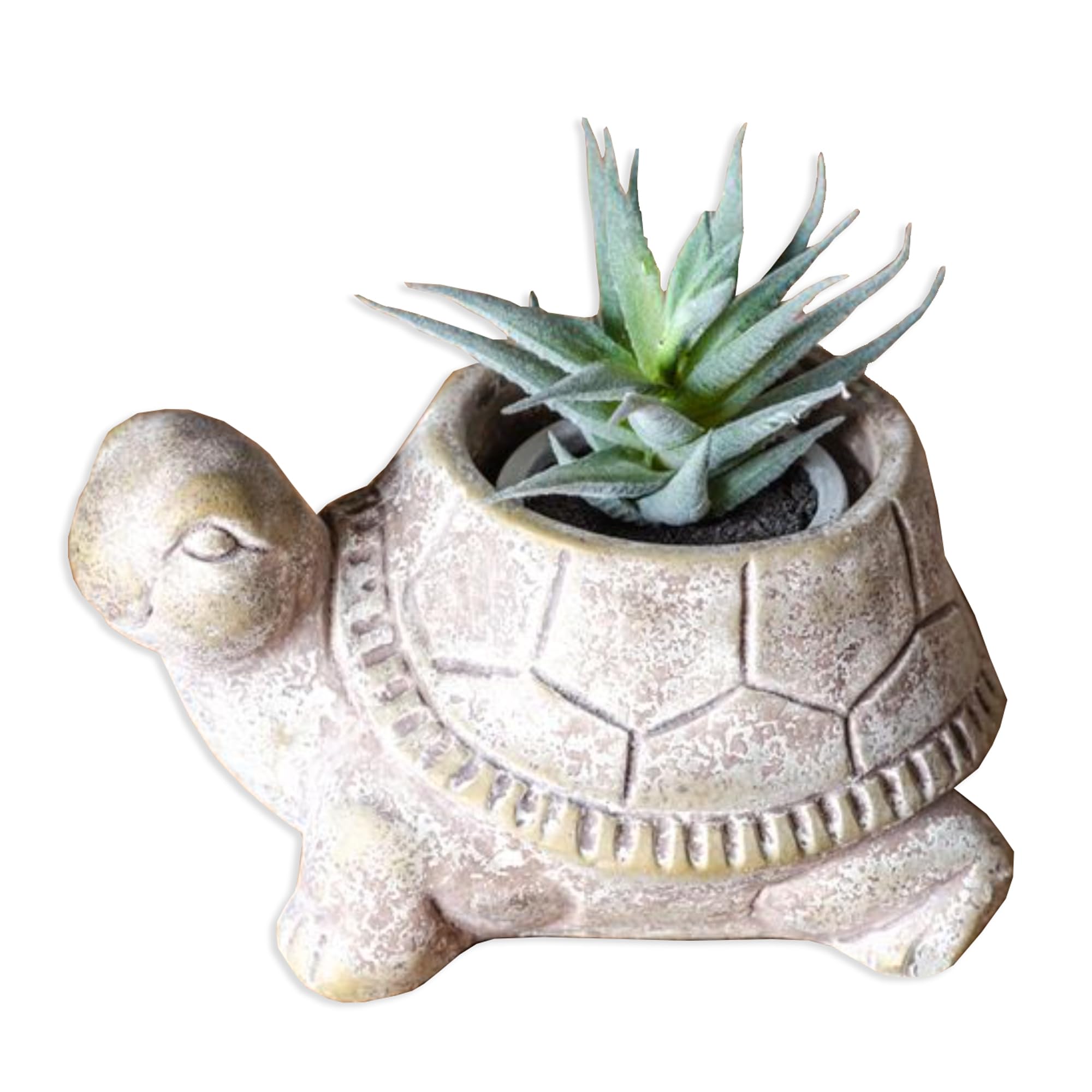 Photo 1 of 100 North PD Home & Garden Small Animal Pot for Small Plants Succulents Cacti Herbs 8 x 6 Inch Cement Flower Pot Planter Rustic Whitewashed Stone Color Turtle