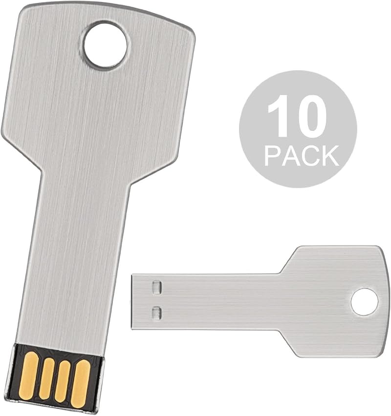 Fenglangrong 10Pack 2GB USB Flash Drive Metal Key Shaped Memory Stick USB 2.0