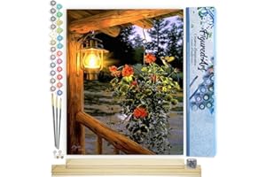 Figured'Art Paint by Numbers Kit for Adults Lantern Under The Porch 16"x20" - Craft Art Painting Rolled Canvas with DIY Wooden Frame
