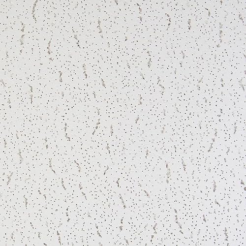 SUSPENDED CEILING TILES TEGULAR EDGE 600mm x 600mm With Sound Block