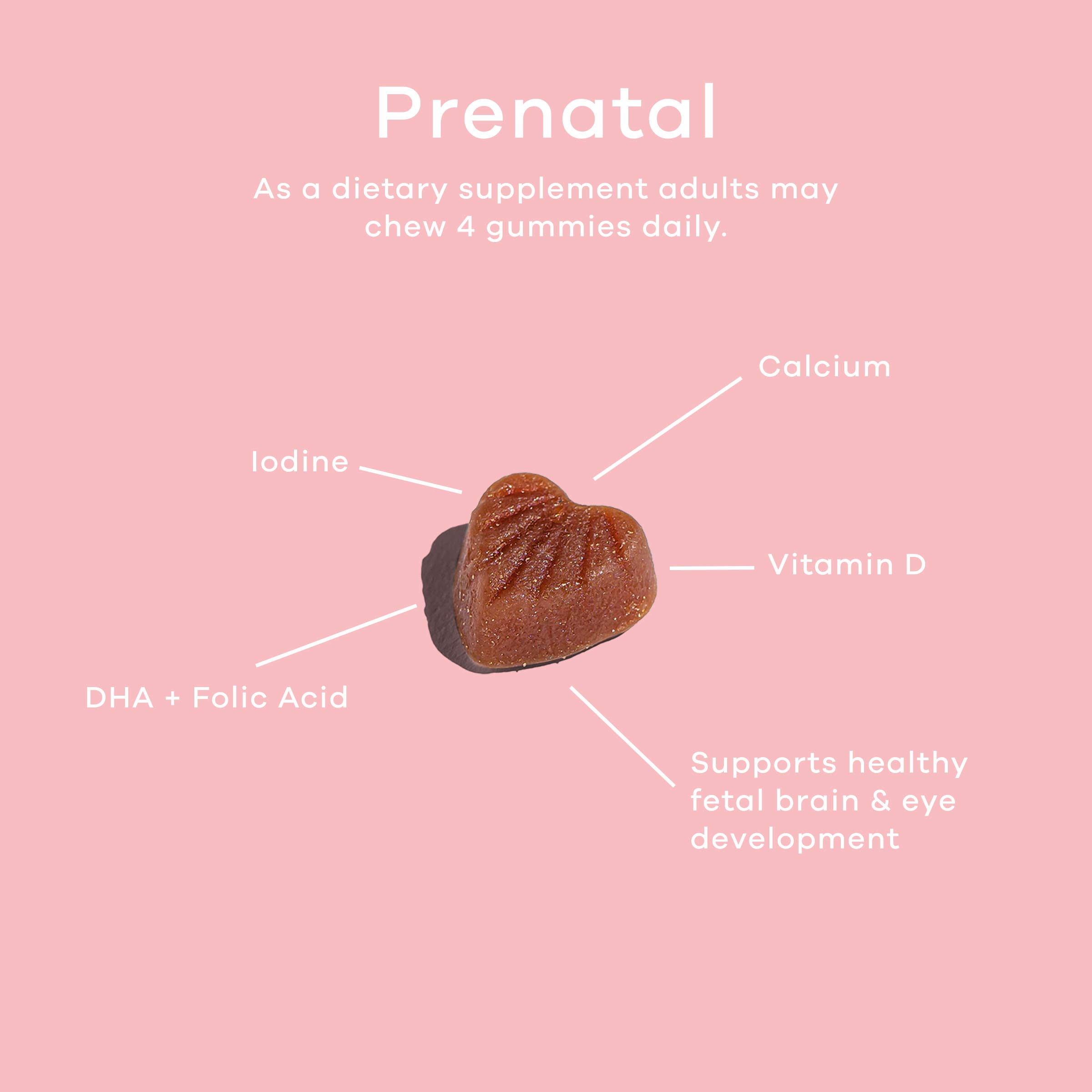 Mua Salaam Nutritionals Halal Prenatal Gummy Multivitamins, Low Sugar