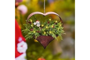 Philodwell Metal Plant Hangers Indoor and Outdoor: Christmas Birthday Gifts for Women Mom Wife Garden Lovers - Heart Shape Hanging Planters Perfect for Window Wall Living Room Office Decor(Rustic)
