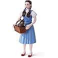 The Noble Collection Bendable Wizard of OZ Dorothy