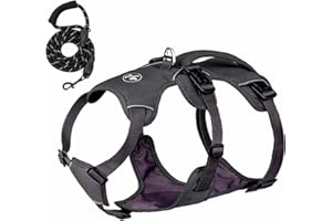 Wegitcs No-Pull Dog Harness, Reflective Waterproof Harness with Easy Control Handle for Safe Walking, Adjustable Dog Vest Harness for Large Medium Small Dog, Breathable Pet Harness with Leash Set
