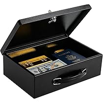 Dalmbox Portable Fire Safe Box with Key Lock, 13.2”x 11”x 5.1