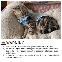 Cat Recovery Suit for Abdominal Wounds and Skin