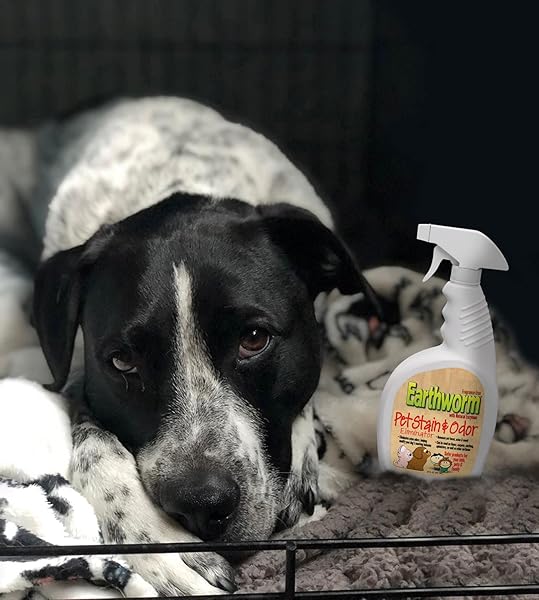 EARTHWORM PET STAIN REMOVER & ODOR ELIMINATOR – URINE ELIMINATOR NATURAL ENZYME FORMULA, FRAGRANCE FREE SPRAY – 22 OZ