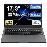 MTWZMM 17 inch Laptop, 8GB RAM 256 SSD, 17.3 inch